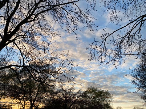 Nine photographs of the sky featuring various cloud types, colours and trees