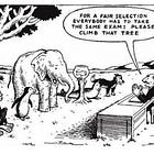 Instrução e avaliações focadas no aluno