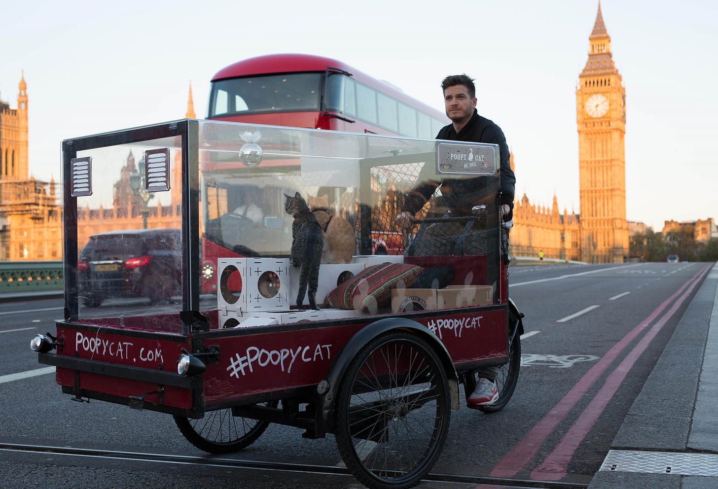 Poopy Cat founder cycles 300 miles to launch 'poop-up' shop with 2 cats |  Famous Campaigns