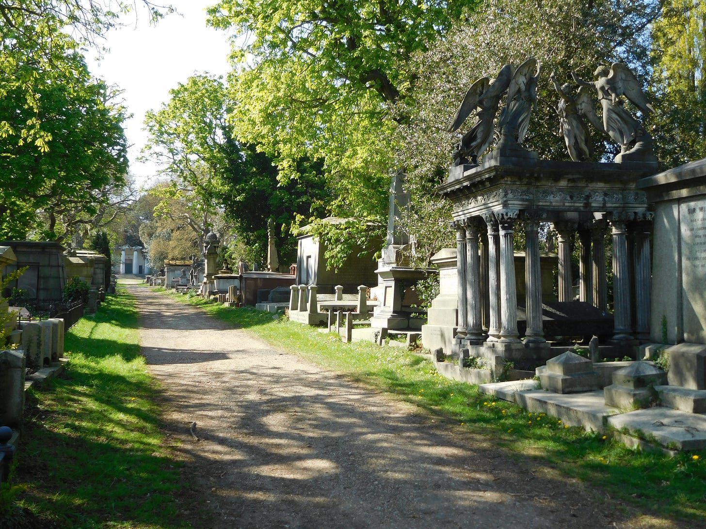 Golborne Life Golborne Life