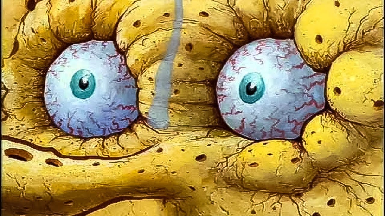 We Binged Spongebob Season One We Binged Spongebob Season One