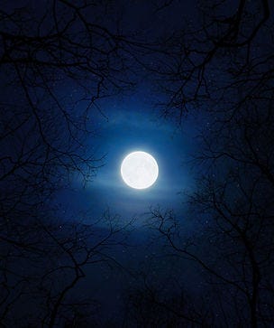 upcoming full moon dates for 2023