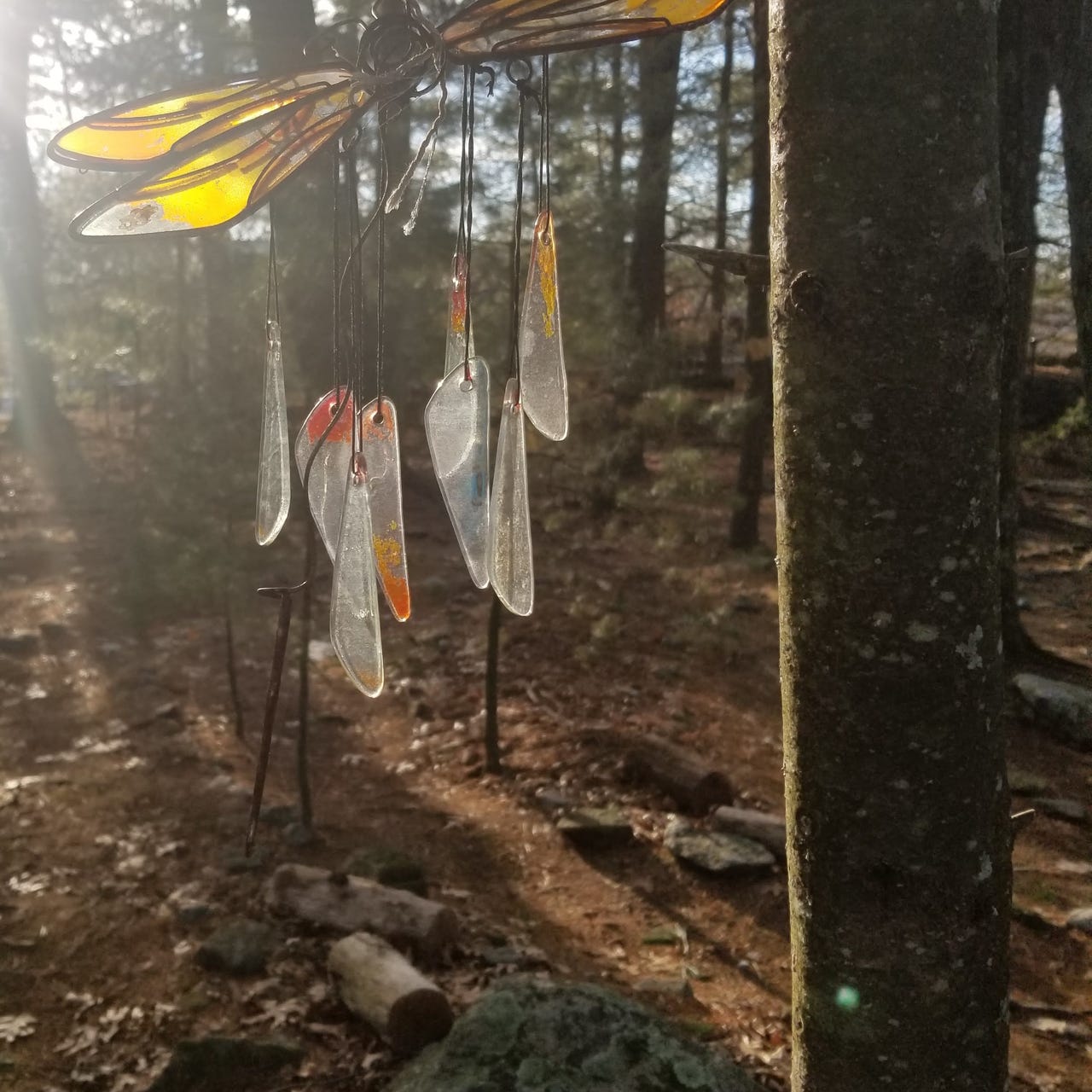 Notes From the Dragon's Nest