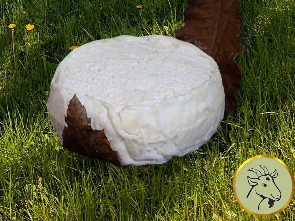 Mothais sur Feuille - new Mothais sur Feuille - new