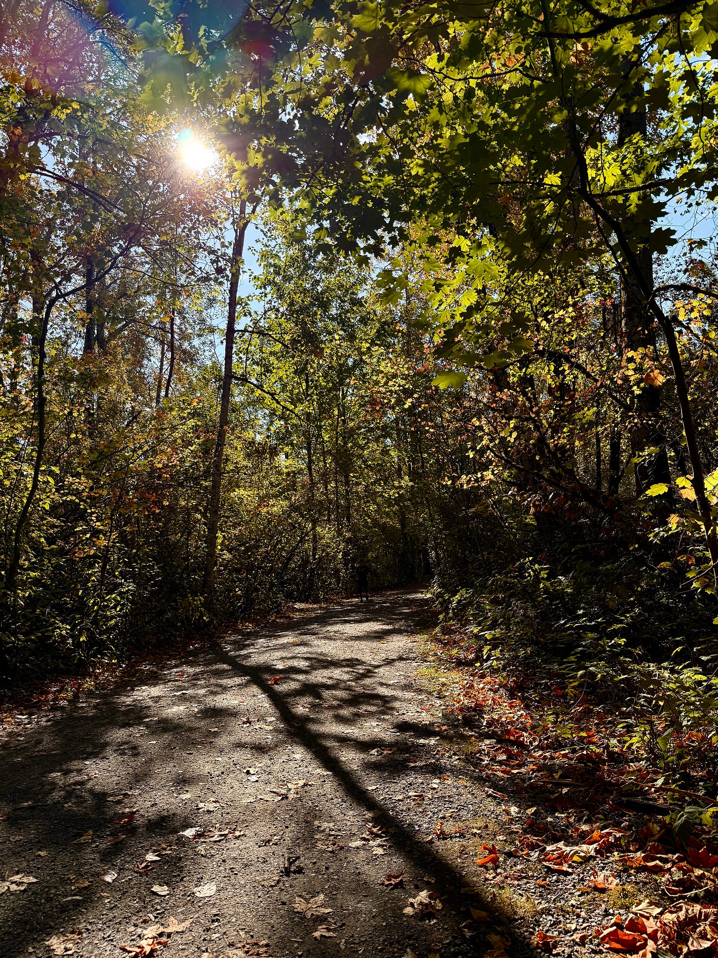 The trail near my home last week. Photo by JPC.