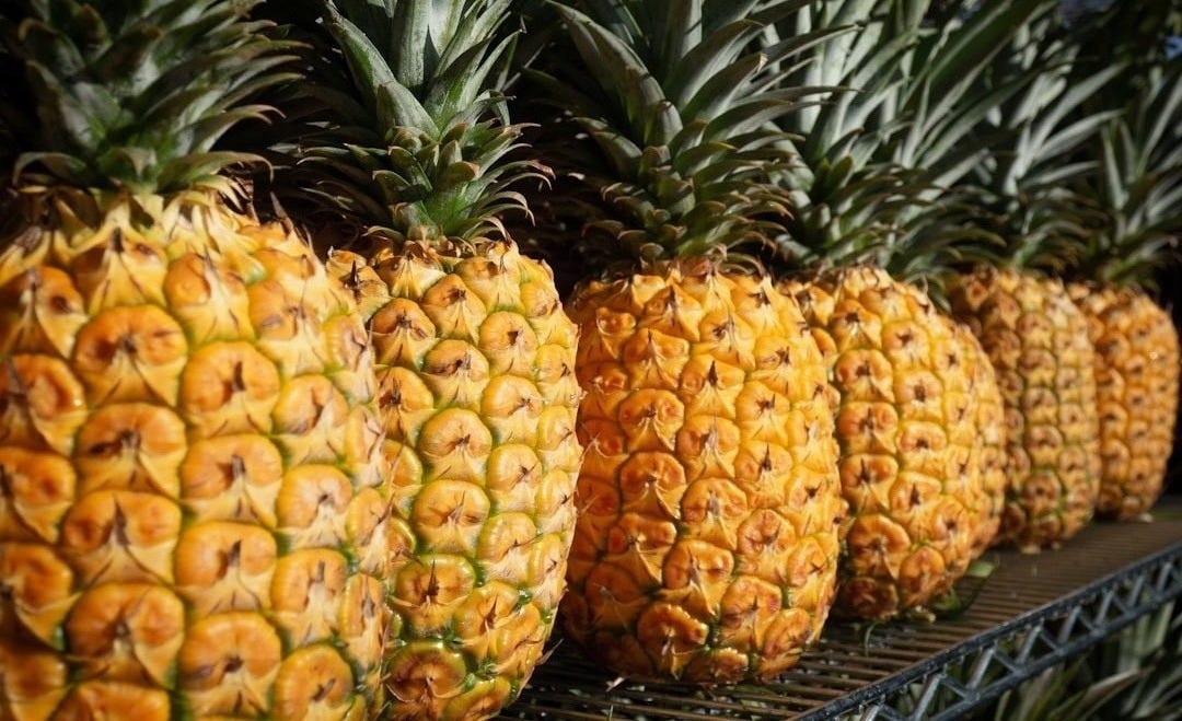several yellow pineapples