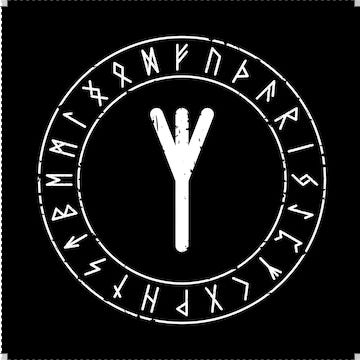 algiz rune for protection