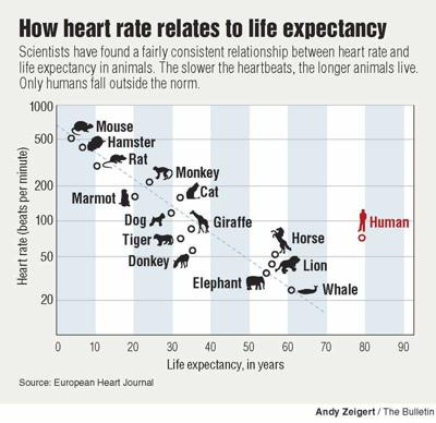 Are you running out of heartbeats? | Health | bendbulletin.com