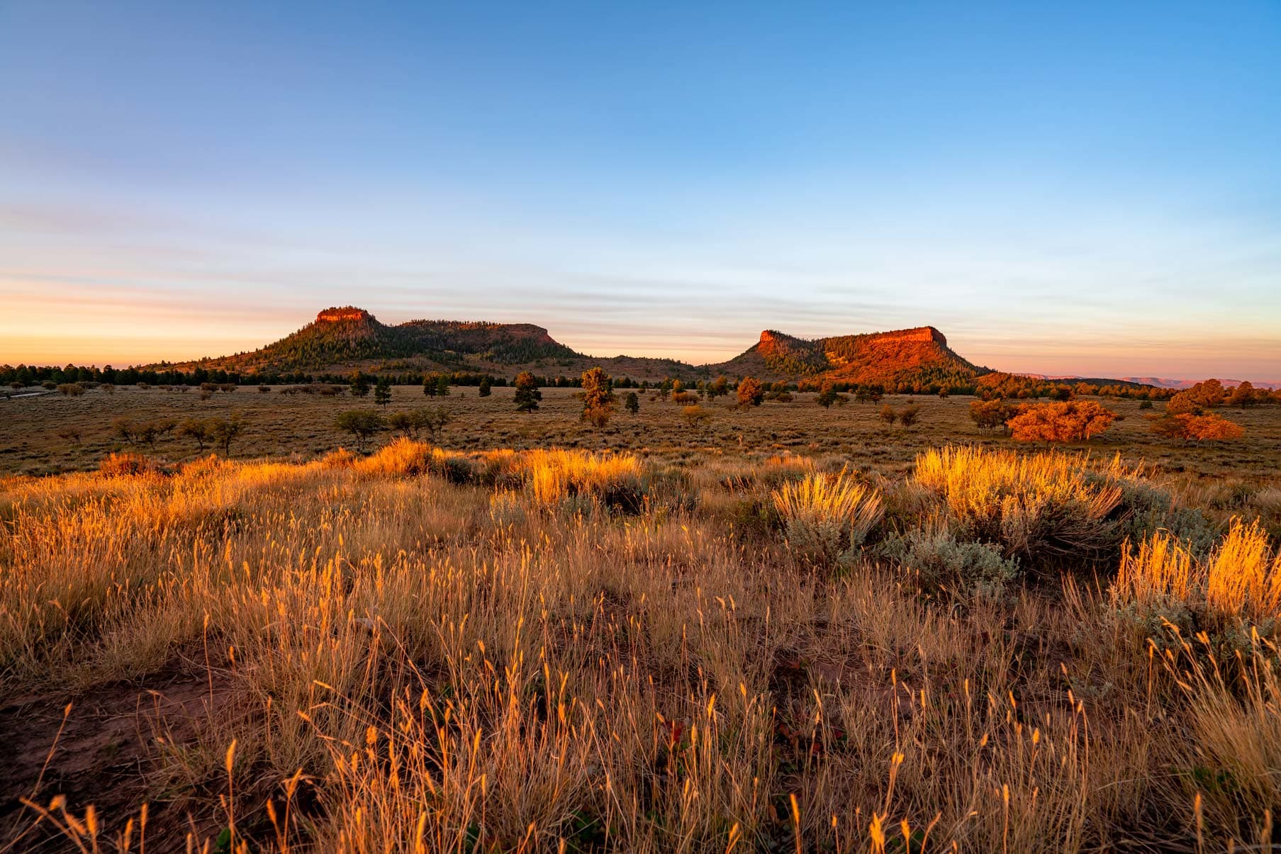 Inside the Scheme to Virtually Eliminate Bears Ears & Grand Staircase-Escalante