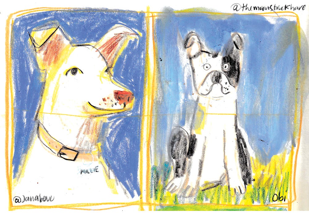 millie and obi the dogs illustrated by beth spencer