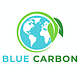 Blue Carbon Collective