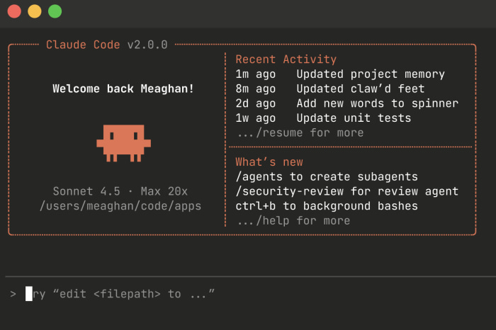 Claude Code interface.