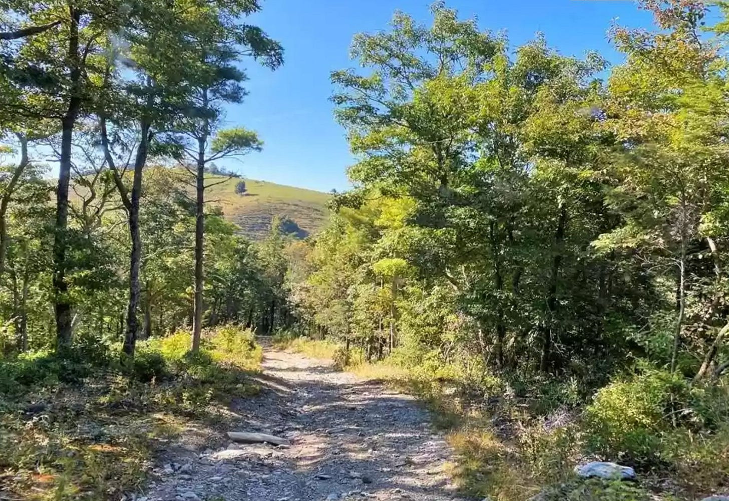 Look at this—We can start our tribe here! Look at this—We can start our tribe here!