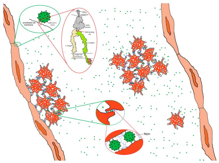 An external file that holds a picture, illustration, etc.
Object name is viruses-13-00146-g008.jpg