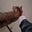 آيات:'s avatar