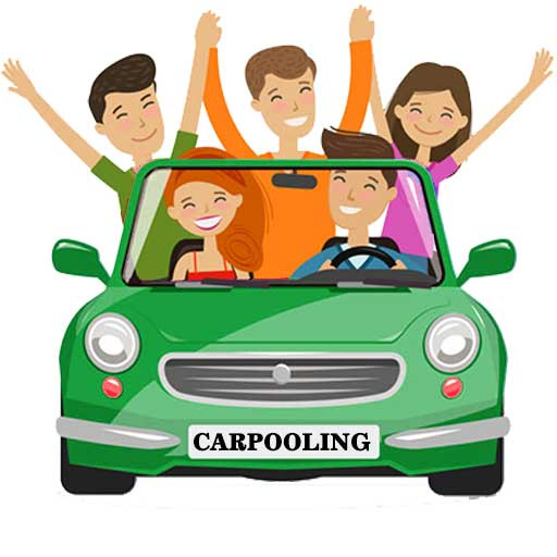 Carpooling – The Dancing Fish of Lake Santa Fe