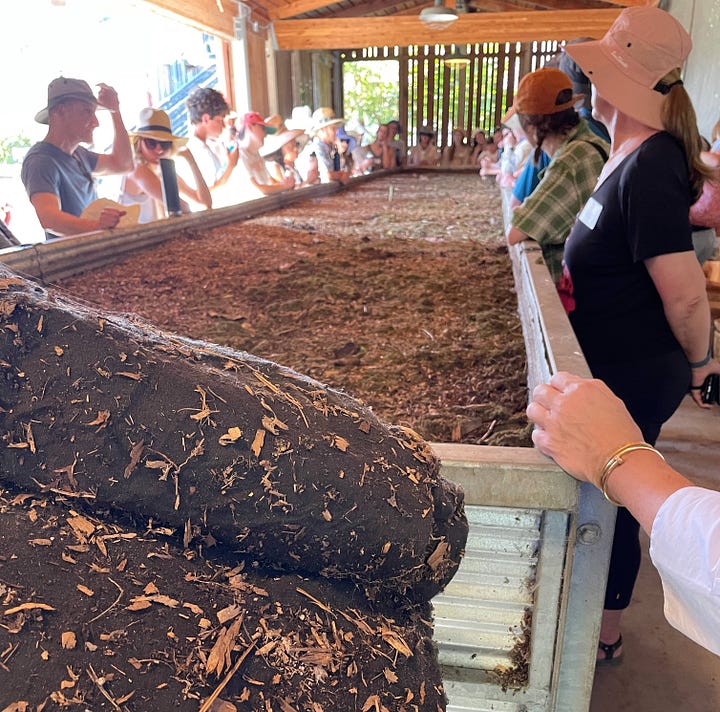 photos of Apricot Lane Farm by Sabrina Simpson