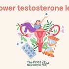 Lowering Testosterone in PCOS: diet, medication, supplements and beyond