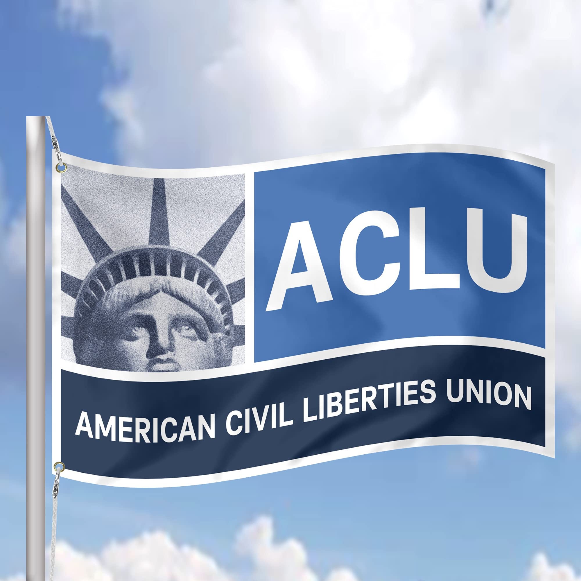 The ACLU Is Attempting to Limit the Speech Rights of All Private Sector ...
