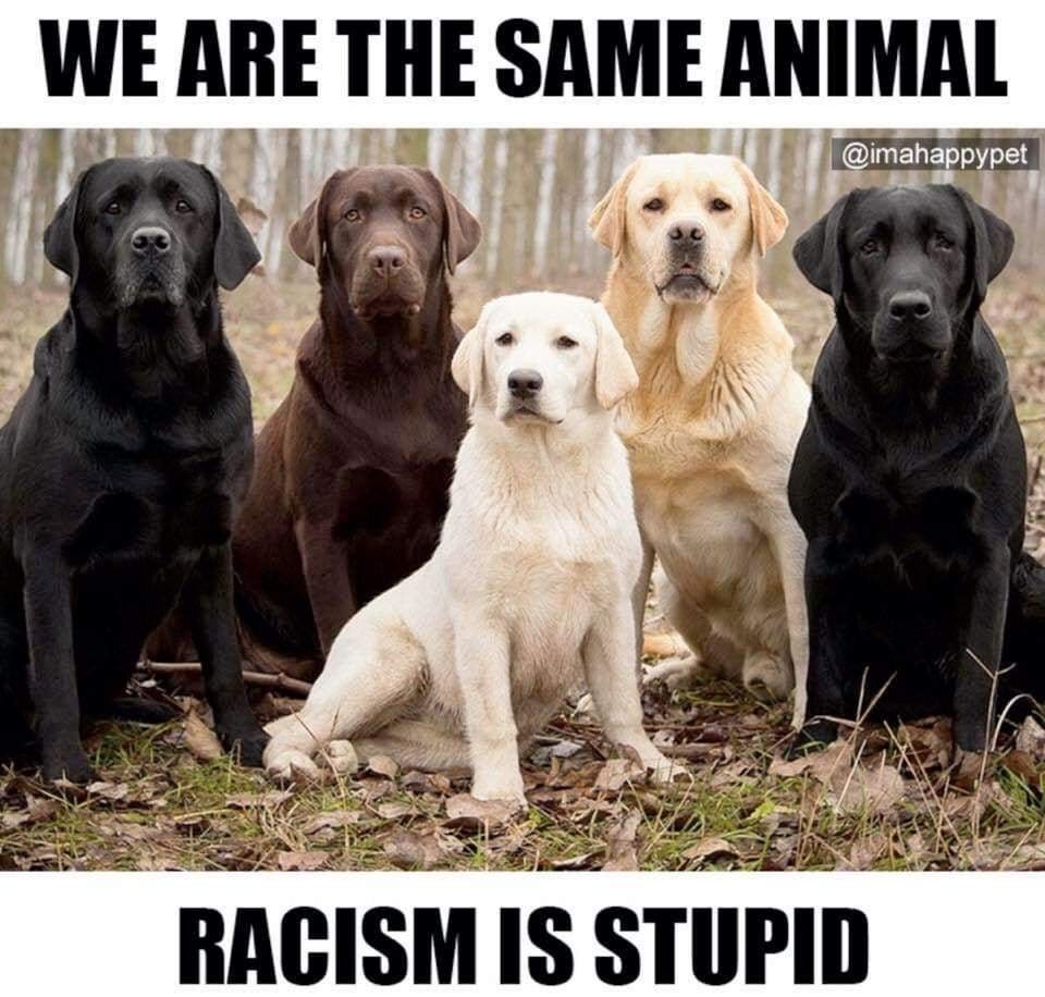 We-Are-The-Same-Animal.jpg