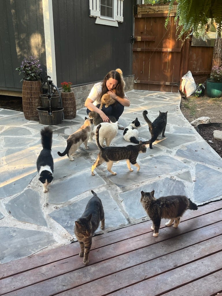 our cozy weekend at Kat Pawz Sanctuary