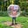 Matthew Corson-Finnerty's avatar