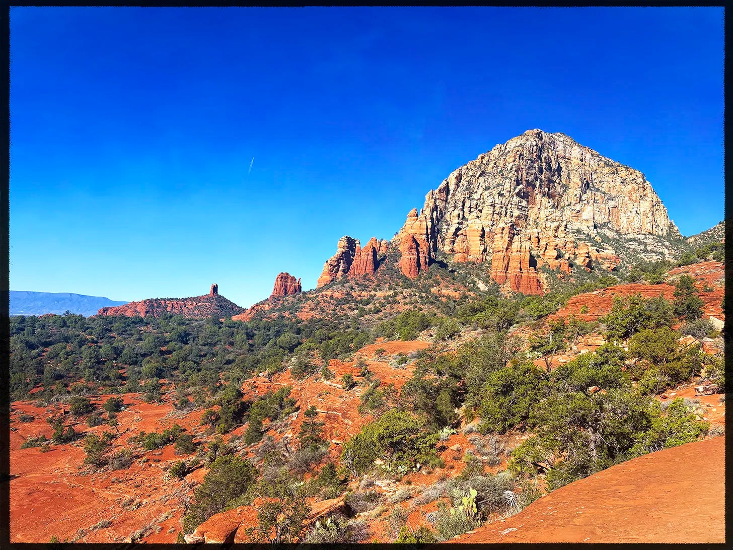 Red rocks and flora.
