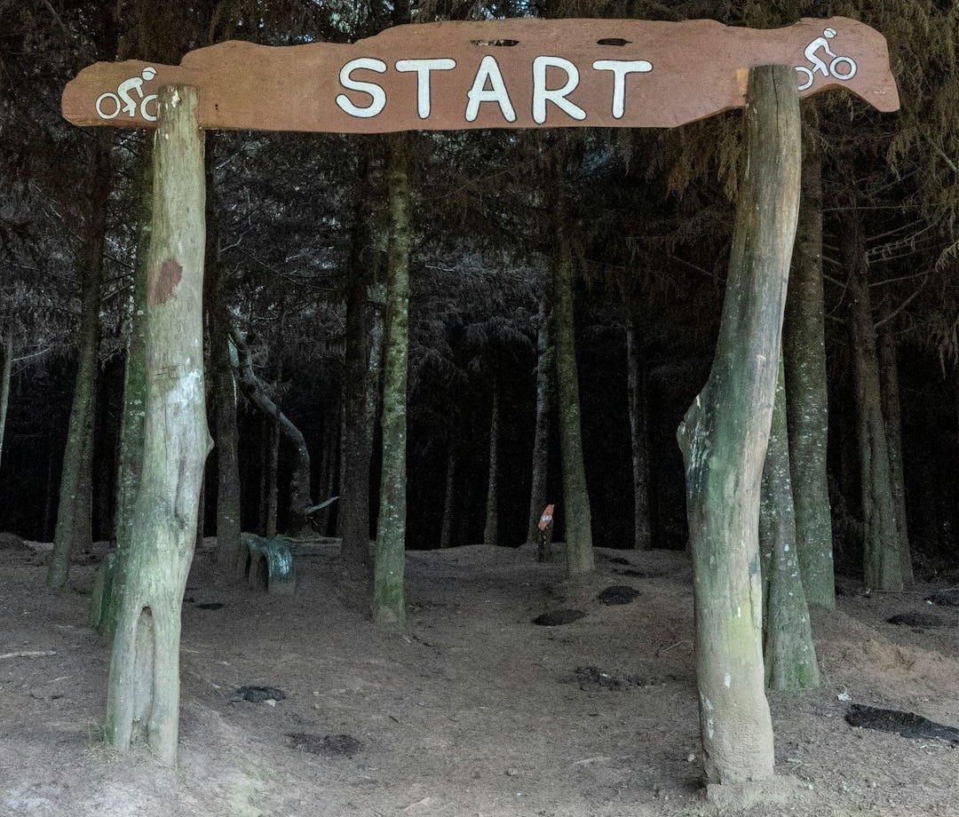 a wooden start sign in the middle of a forest a wooden start sign in the middle of a forest