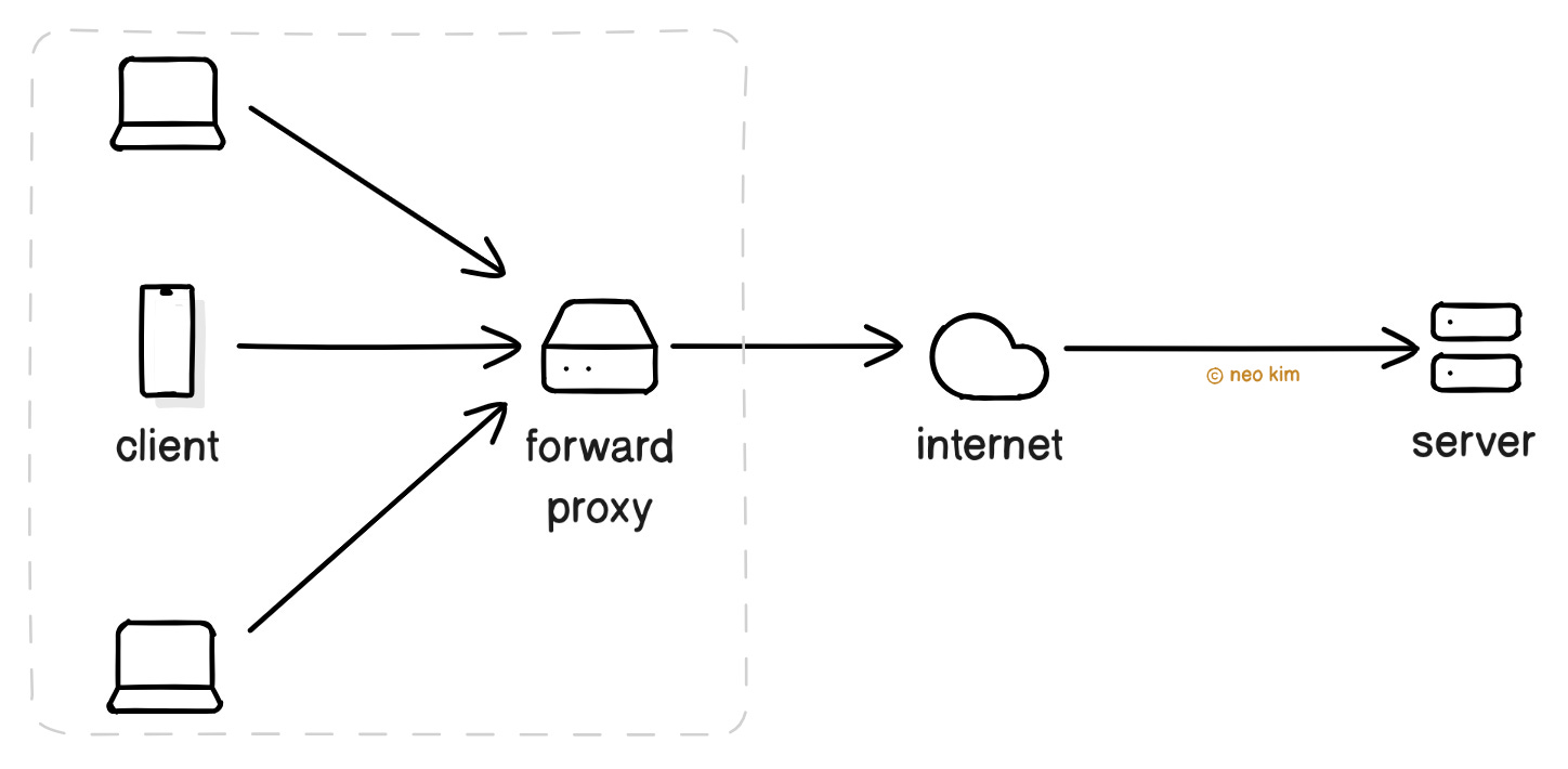 Forward Proxy vs Reverse Proxy