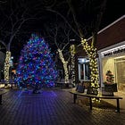 🎁 MVacay's 2025 Holiday Gift Guide