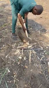 The hoe holds a significant role in traditional Yoruba farming practices,  acting as one of the primary tools used for cultivating the land. In Yoruba  culture, farming is deeply intertwined with the ...