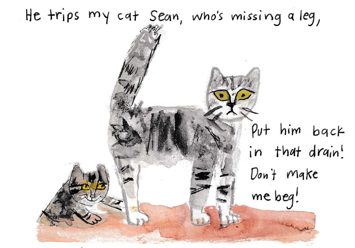 cat tripping another cat illustration