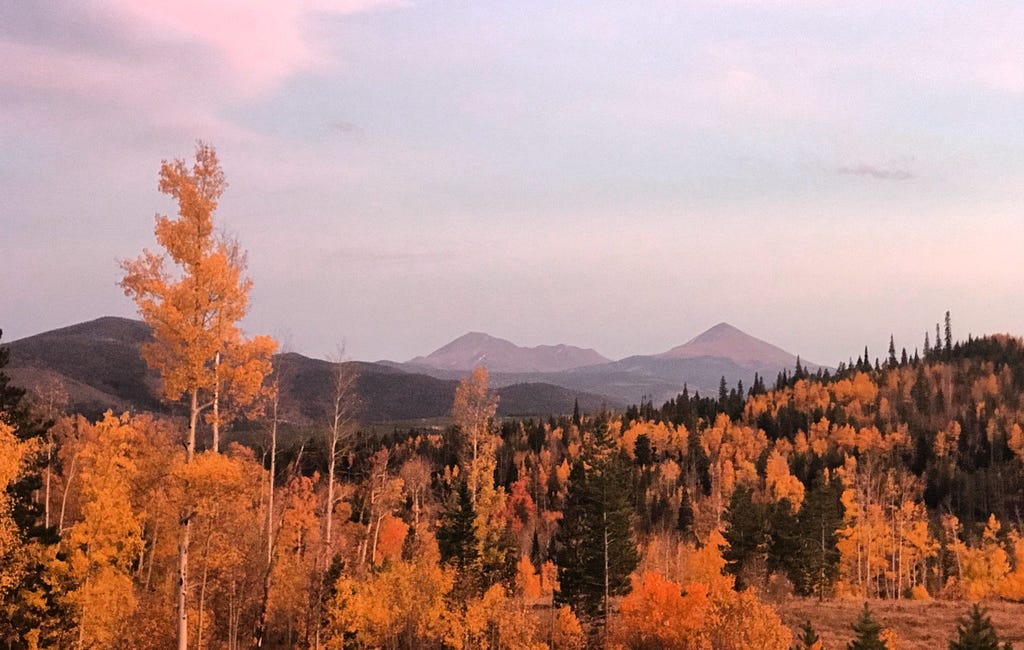 The Aromas of Autumn