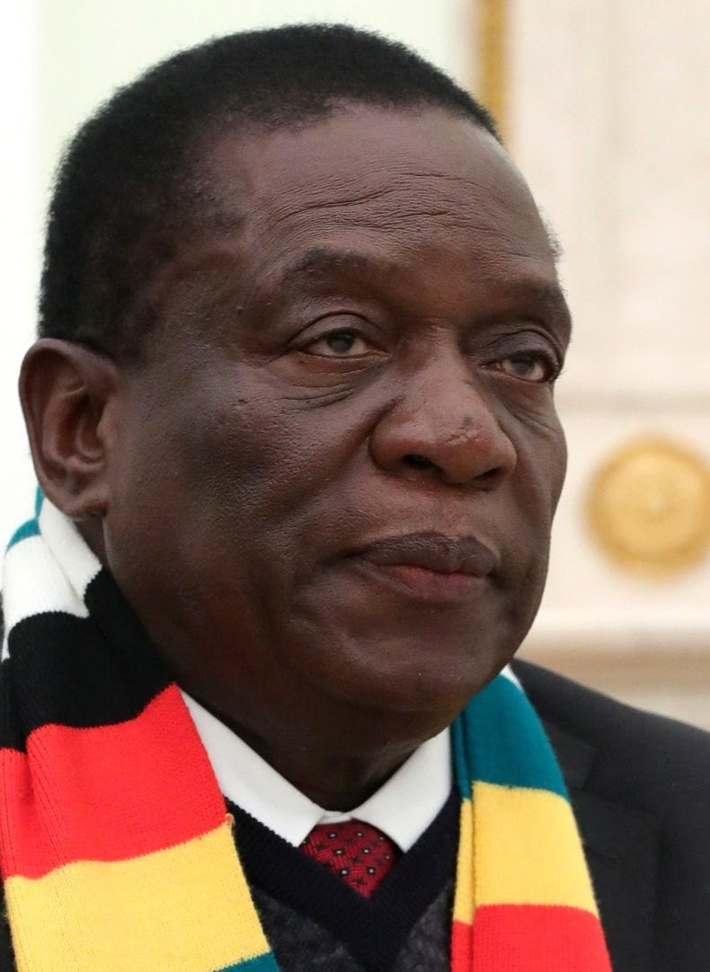 File:Emmerson Mnangagwa (2019-01-15)