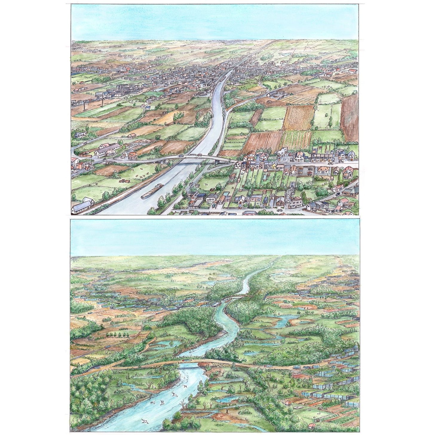 A pastel-ish concept before and after drawing of a river landscape. The top shows the 'before' where a city is right up on the river, causing it to appear very thin and artificial. The landscape is choked with buildings and pockmarked with farm plots. The bottom image is 'after' and shows a very healthy looking meandering river with thickly forested river banks inhabited by wildlife. There are still urban areas but they are more subtly melded into the environment and further back from the river, giving it room. There are little tributaries, ponds, and permaculture spots everywhere as well.