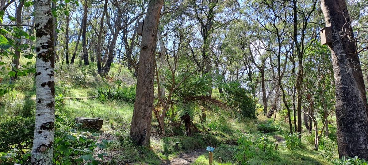 Rhododendron Gardens