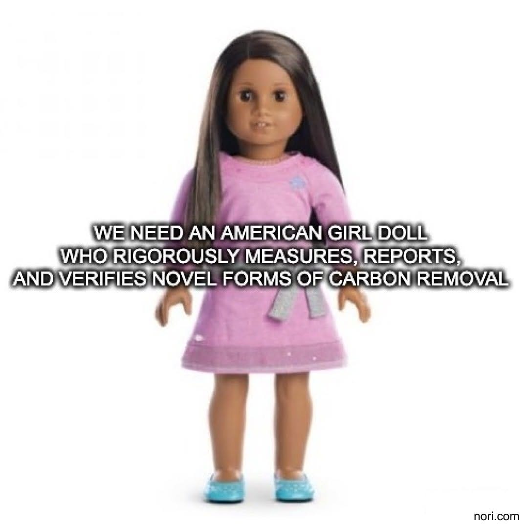 An American Girl doll in a pink dress, captioned "We need an American Girl doll who rigorously measures, reports, and verifies novel forms of carbon removal".