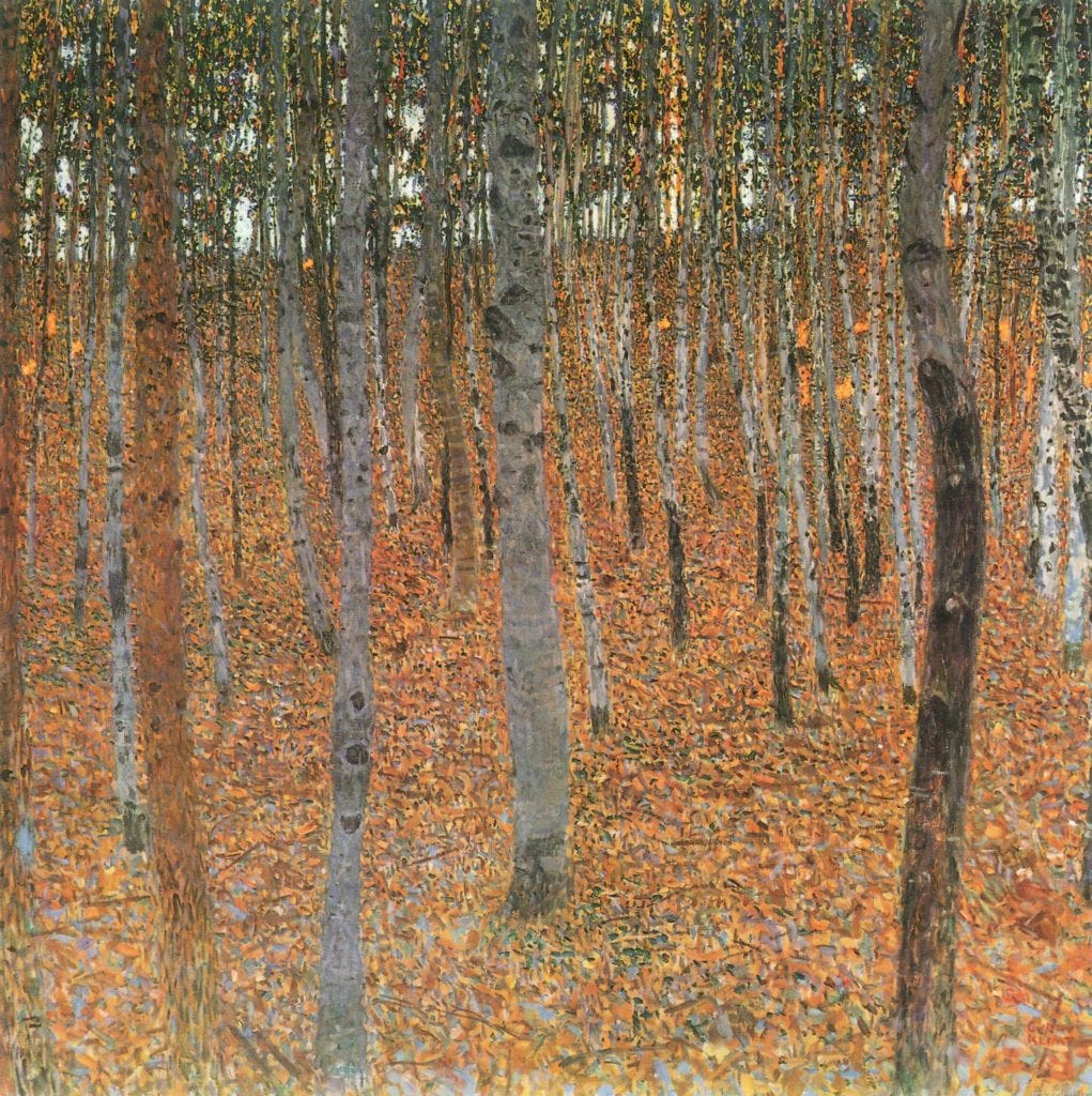 gustav klimt trees paintings Gustav Klimt Forest of Beech trees 1903