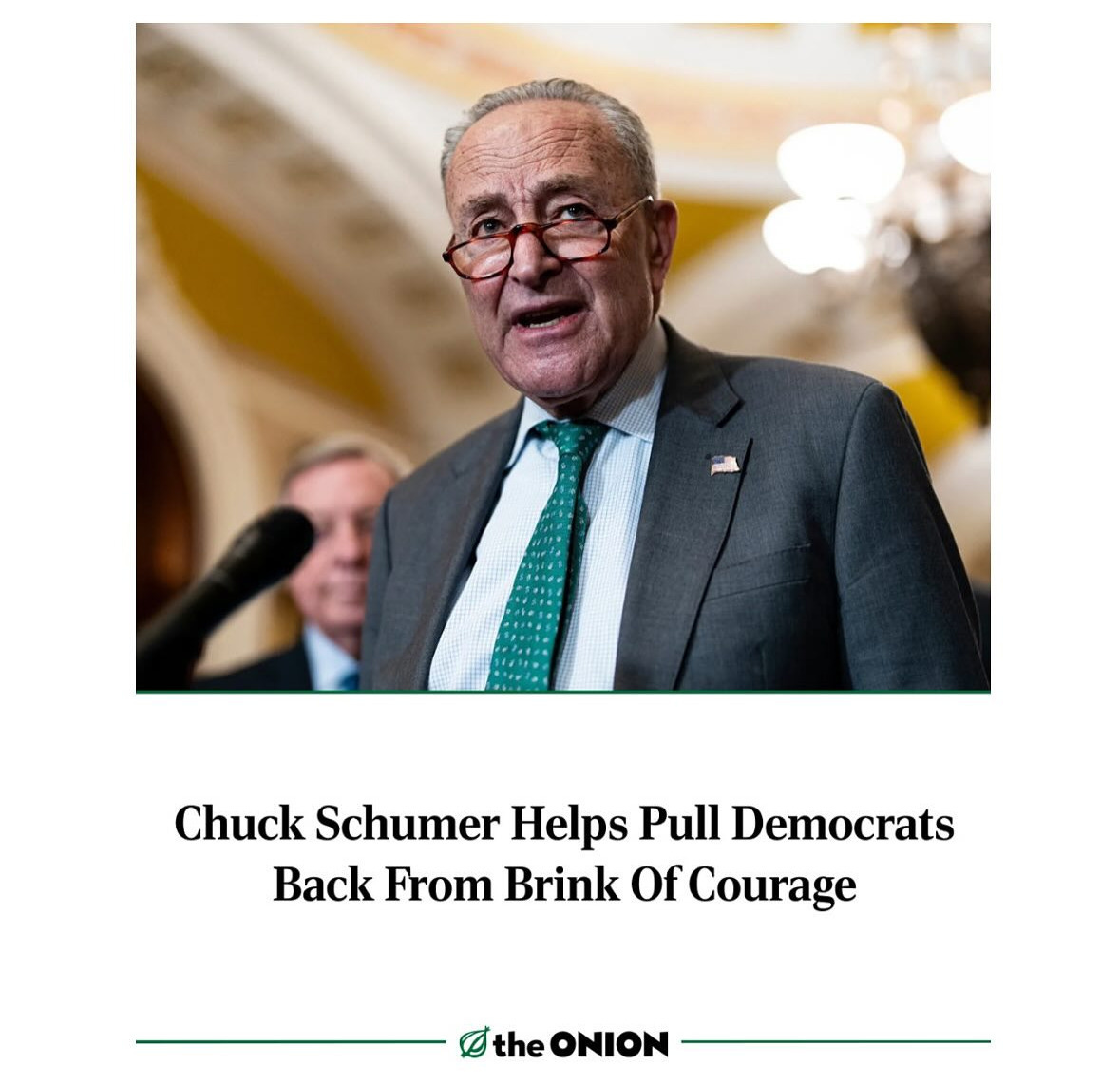 A photo from the Onion of Chuck Schumer, captioned: "Chuck Schumer Helps Pull Democrats Back From Brink Of Courage" A photo from the Onion of Chuck Schumer, captioned: "Chuck Schumer Helps Pull Democrats Back From Brink Of Courage"