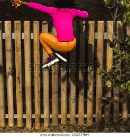 Image result for free picture of fierce person on top of a high fence