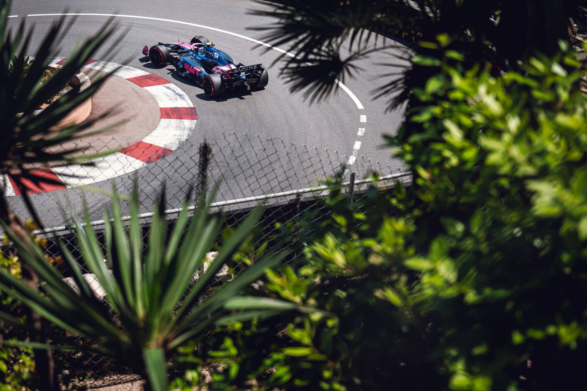 Franco's car at the hairpin in Monaco, viewed through some palm trees. Franco's car at the hairpin in Monaco, viewed through some palm trees.