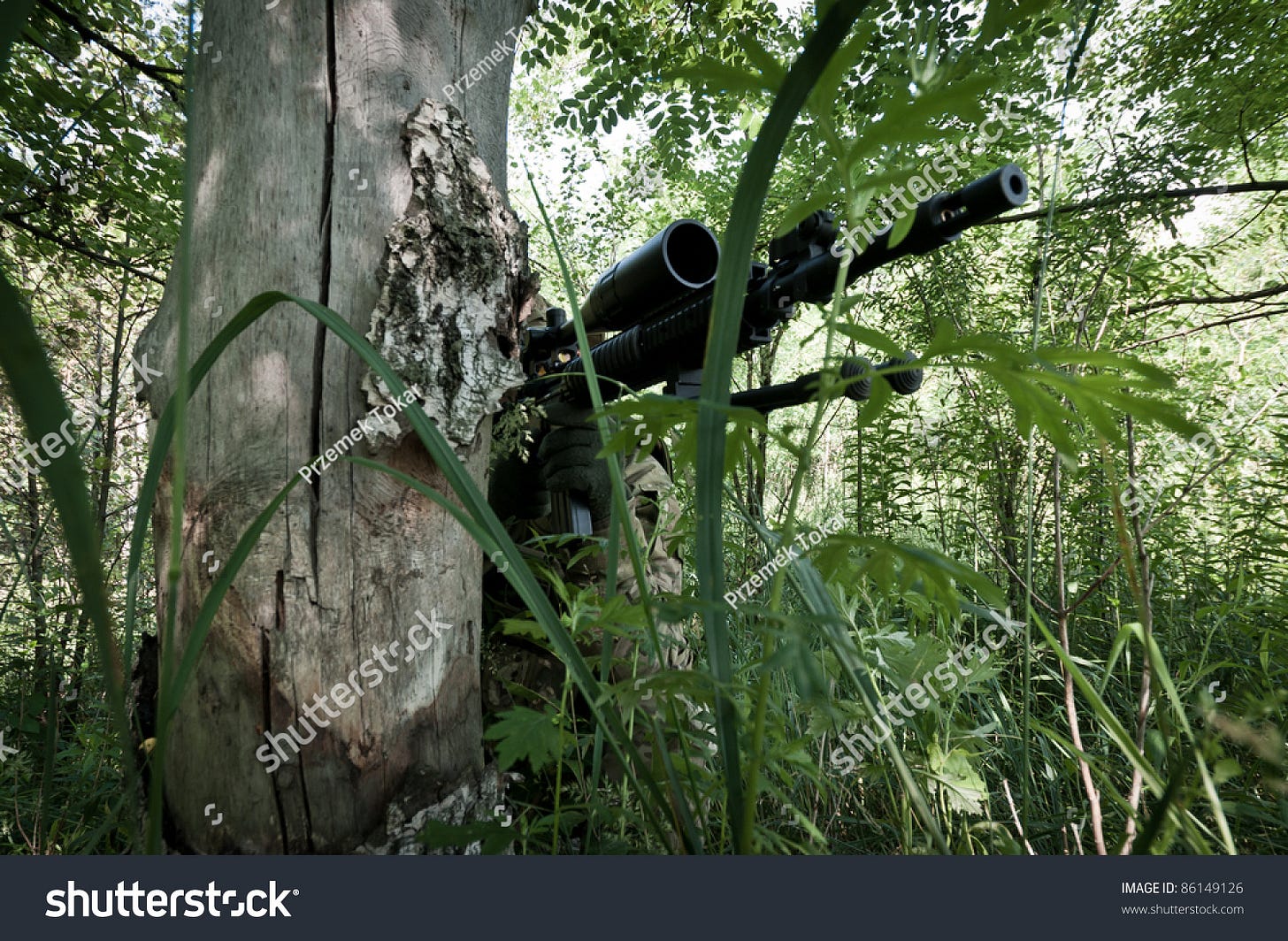 Sniper Hidden Forest Stock Photo 86149126 - Shutterstock