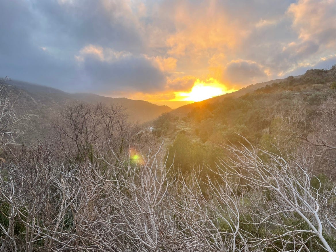 Artwork for Maria Gerth-Niculescu