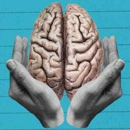 The Coddling of the American Mind Movie