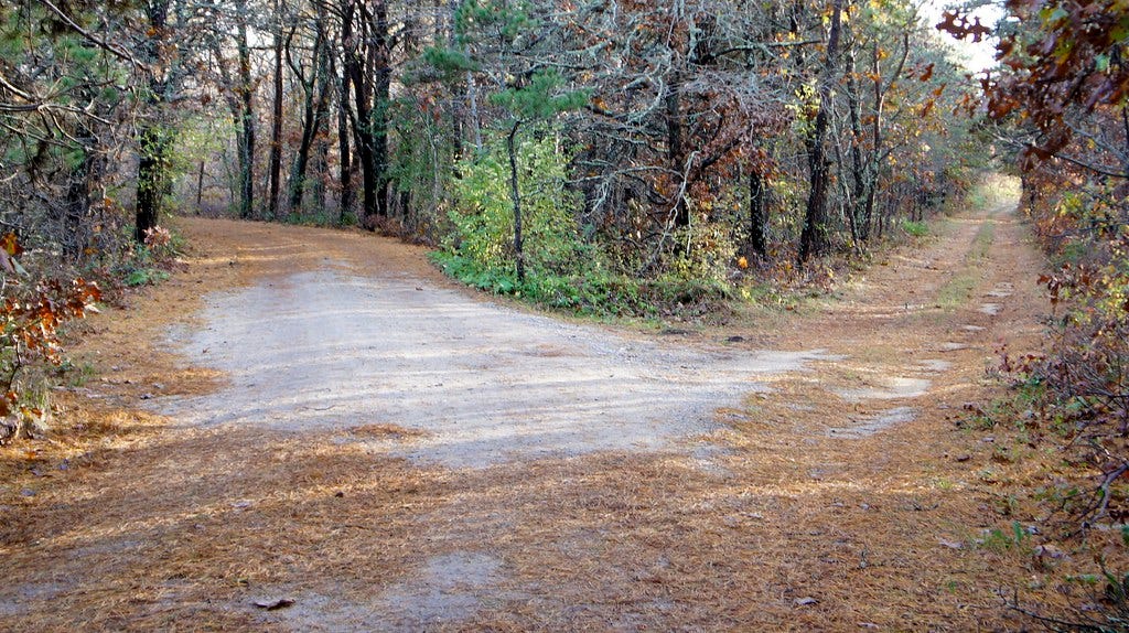 Two roads diverged in a yellow wood, And sorry I could no… | Flickr
