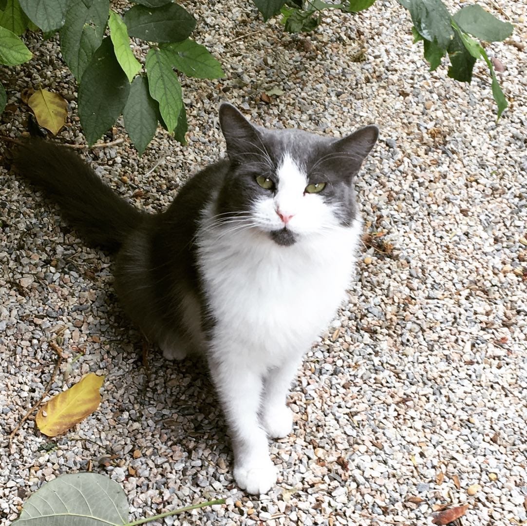 WeChat Image_20171022234339