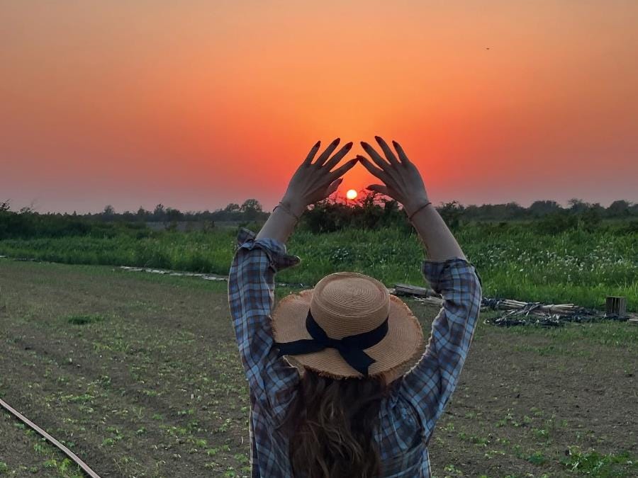 Help With Gardening And DIY Projects On A Farm Near Lanchkhuti Help With Gardening And DIY Projects On A Farm Near Lanchkhuti