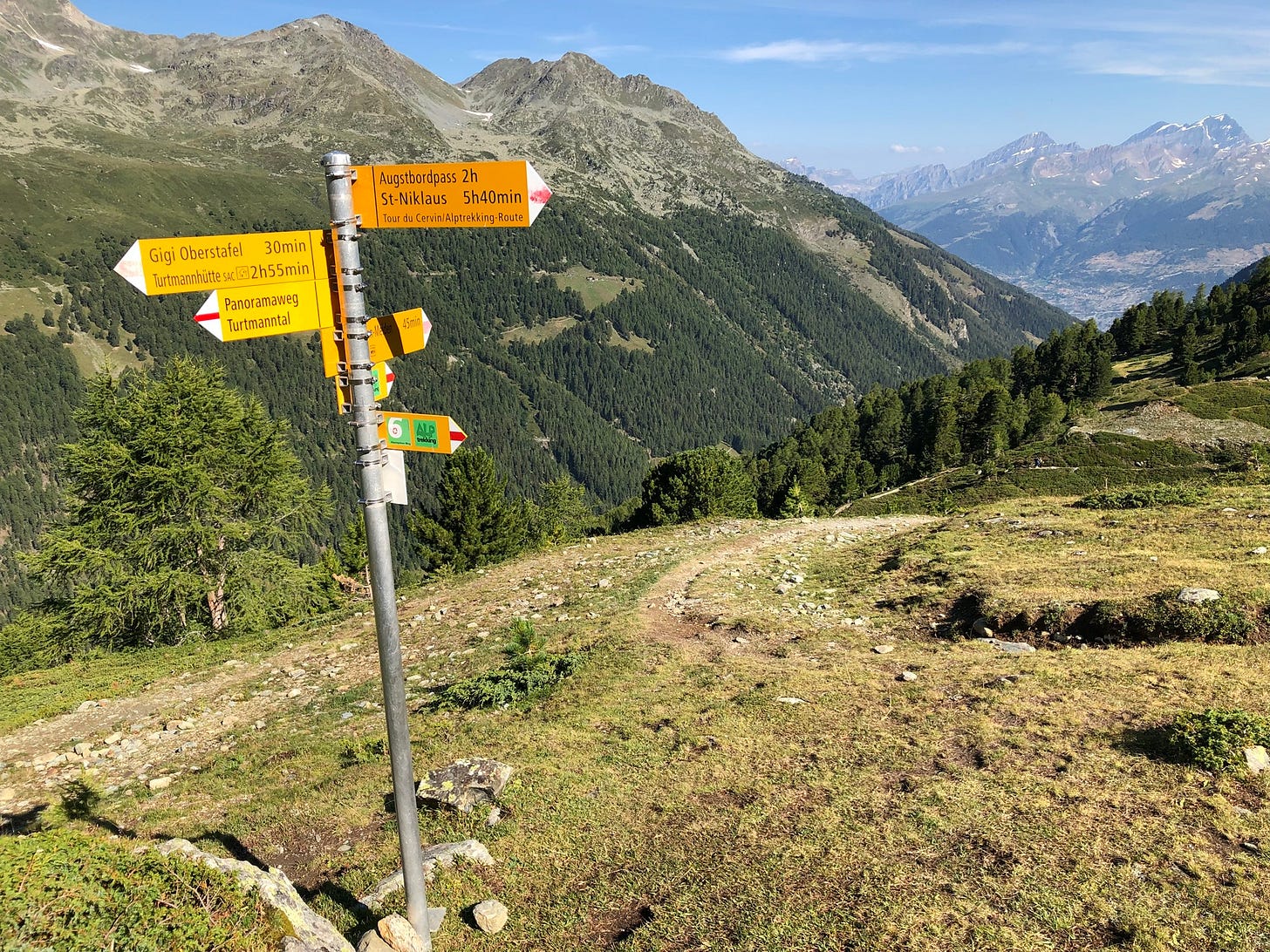 We encountered this sign a couple of hours into the walk. In our experience, these signs are actually optimistic – we always take longer than the posted times. Today, we had to reach St. Niklaus at the bottom of the valley and THEN make our way up the other side to Grâchen.