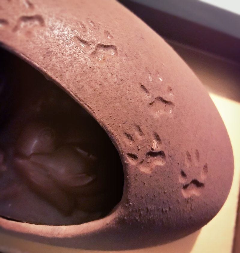 Oeuf terrier Yann Couvreur