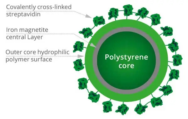 High Capacity Streptavidin Magnetic Beads